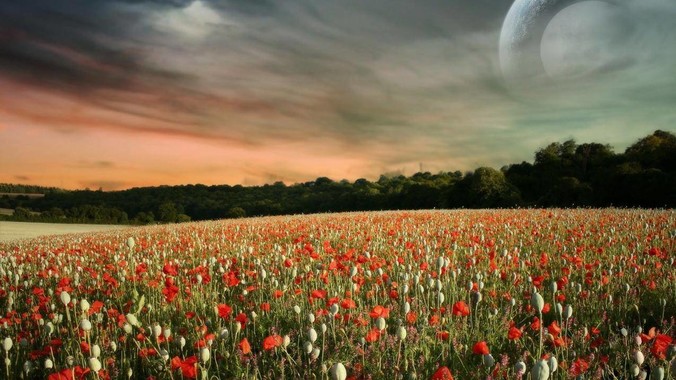 现在已经有5K、6K、8K分辨率显示器，那么8K之后是什么？